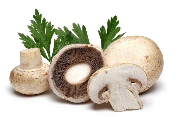 草菇的貯藏溫度_采收_儲存